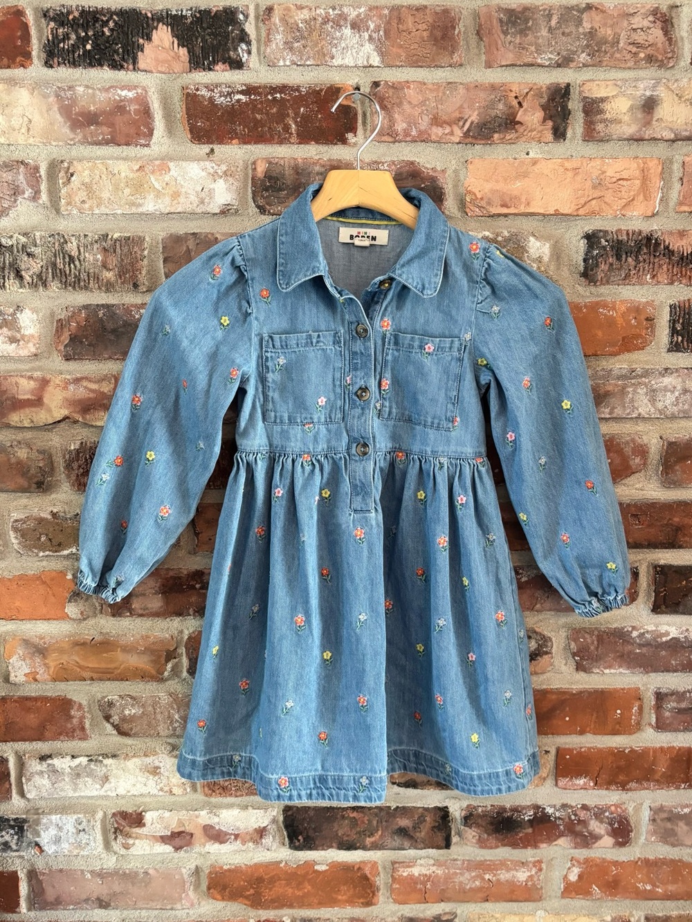 Mini Biden Floral Embroidered Denim Dress